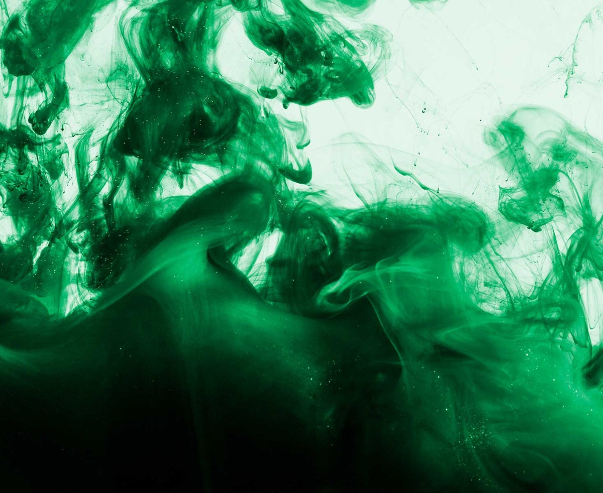 Gebruik van duurzame grondstoffen - Holbox Gebruik van duurzame grondstoffen - Holbox