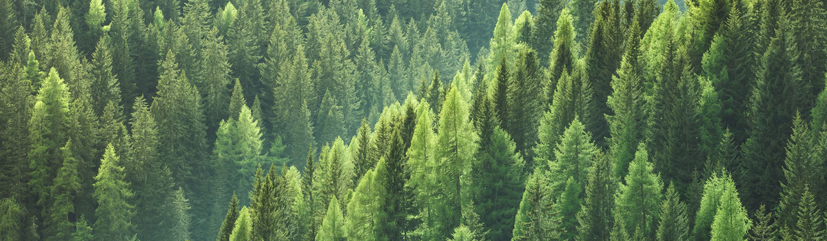 Duurzaamheid bij Holbox Duurzaamheid bij Holbox