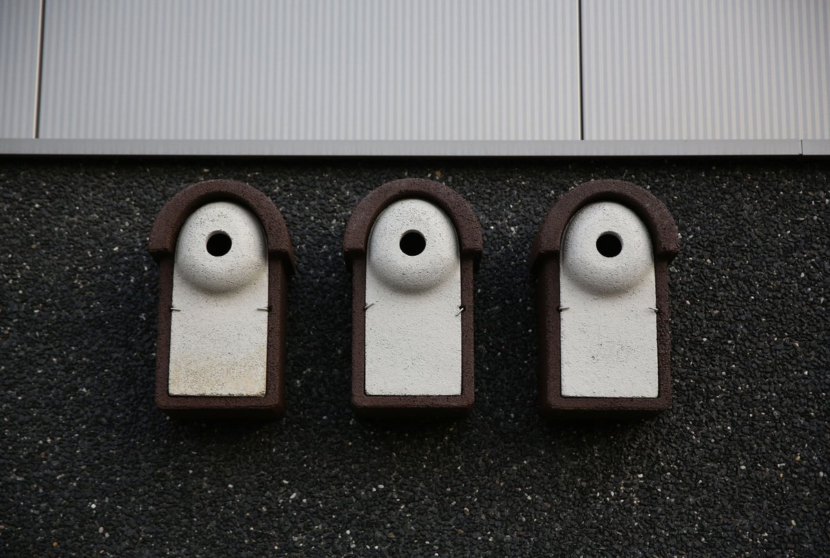 vogelhuisjes aan het pand van Holbox vogelhuisjes aan het pand van Holbox