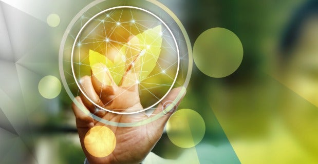 Holbox - Over ons - Toekomst Holbox - Over ons - Toekomst