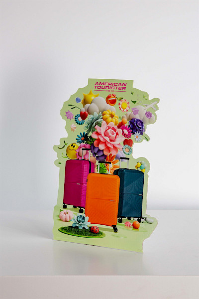 2 Second CONTOUR Display Samsonite