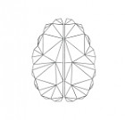 Marktkennis | Holbox