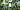 Forest Stewardship Council®