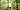 Programme for the Endorsement of Forest Certification