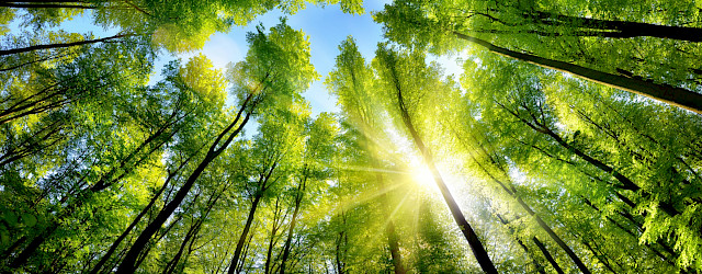 Waar komen onze displays vandaan?