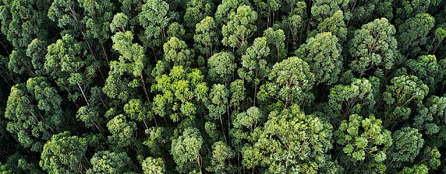 L'ORÉAL & HOLBOX FOR THE FUTURE