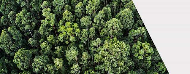 Duurzaamheid versus consumentengedrag